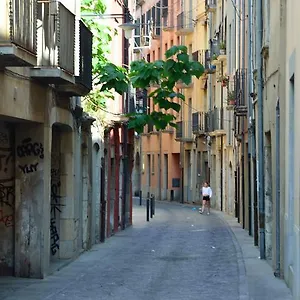 Housing Ginesta 9 Apartamento